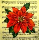 042 Weihnachten Blumen - 3-lagig - MOLCA